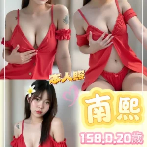 新北定點茶-南熙