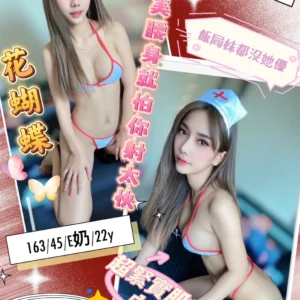 台中定點茶-花蝴蝶/163/45/22/E