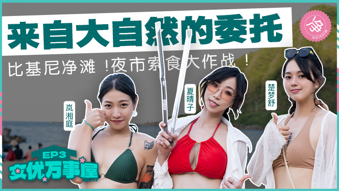 cover n 14
