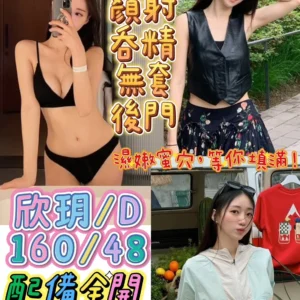 台中定點茶-欣玥/160/48/?/D