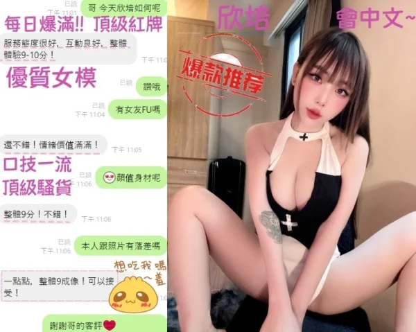 台中定點茶-欣培/160/45/18/E