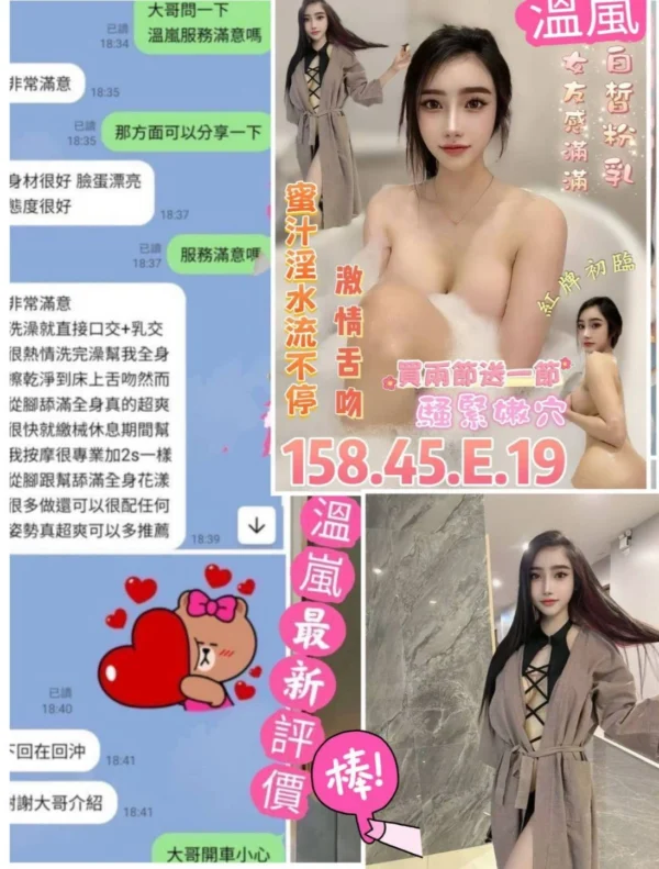 台南定點茶-溫嵐/158/45/19/E