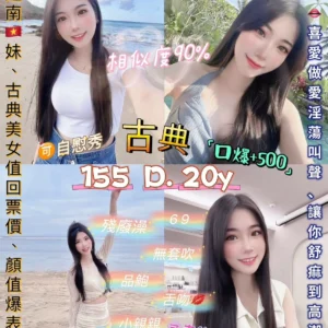 台北定點茶-古典/155/45/20/D