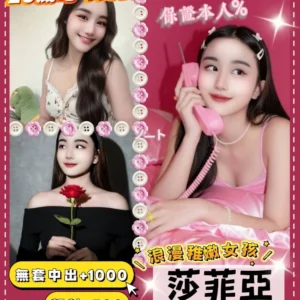 桃園定點茶-莎菲亞/160/42/20/D
