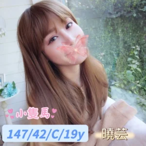 台中外送茶-曉芸/147/42/19/C
