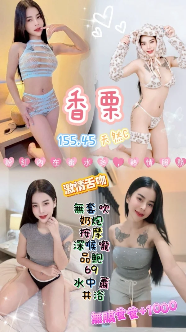 桃園定點茶-香栗/155/45/22/C