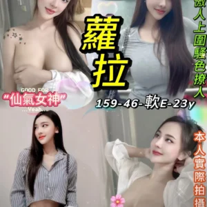 台北定點茶-蘿拉/159/46/23/E