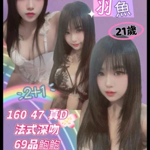 新北定點茶-羽魚/160/47/21/D