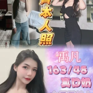 新北定點茶-禹凡/163/48/21/D