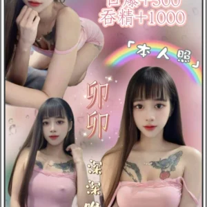 台北定點茶-卯卯/156/45/20/C
