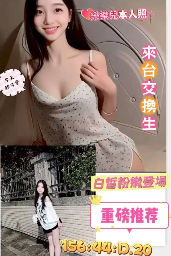 台南定點茶-樂樂兒/156/44/20/D