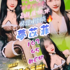 新竹定點茶-夢苡菲/163/45/21/E