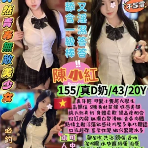 台北定點茶-陳小紅/155/43/20/D