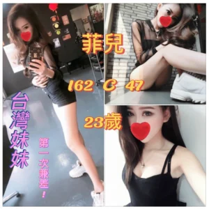 台北定點茶-菲兒/162/47/23/C