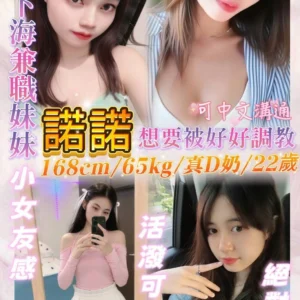 基隆定點茶-諾諾/168/65/22/D