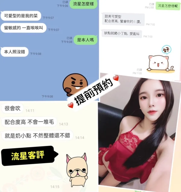 台北定點茶-流星/158/40/20/C