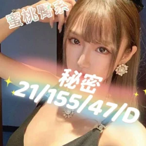桃園外送茶-秘密/155/47/21/D