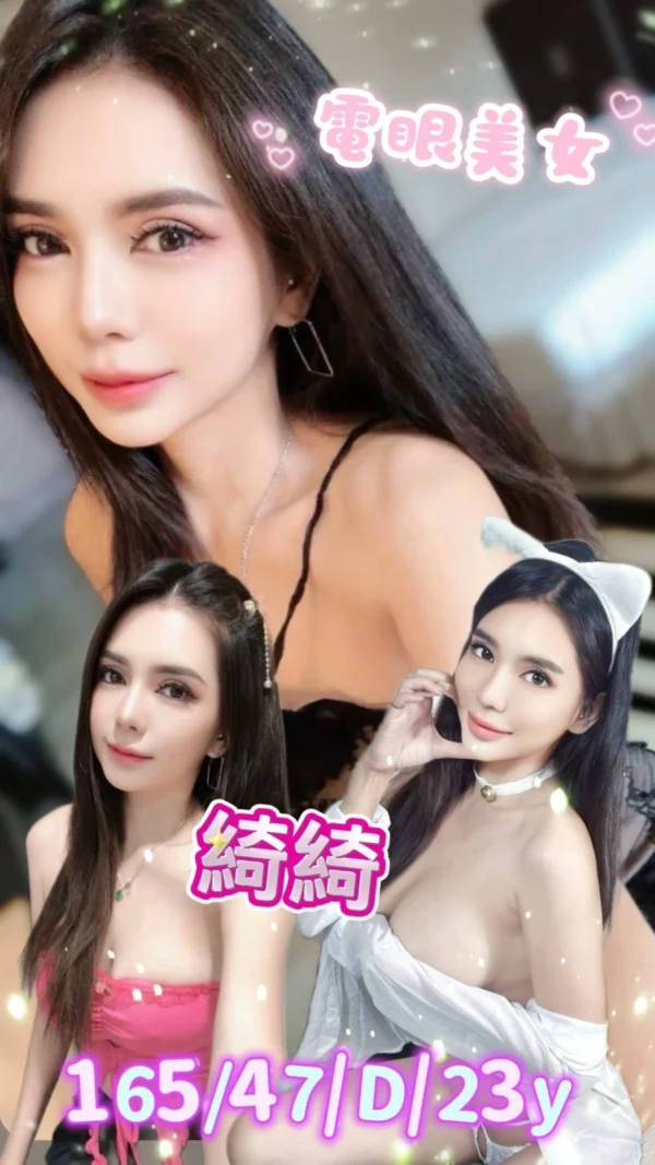 新北定點茶-綺綺/165/47/23/D