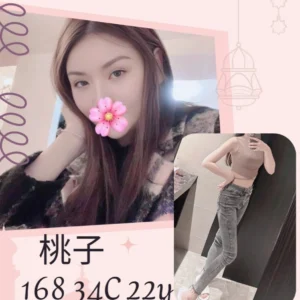 台北外送茶-桃子/168/?/22/D