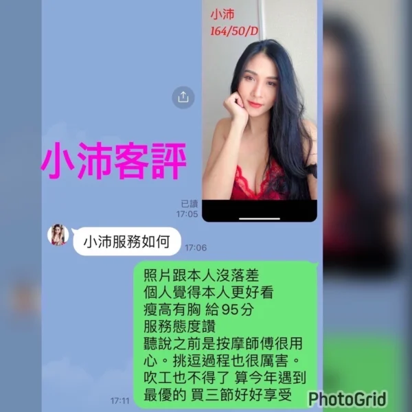 嘉義定點茶-小沛/164/50/?/D