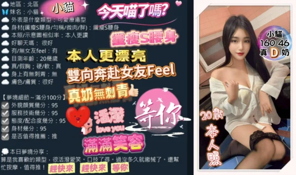 台中定點茶-小貓/160/46/20/D