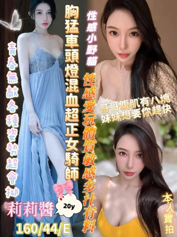 台南定點茶-莉莉醬/160/44/20/E