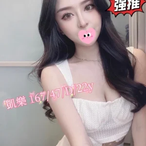 台中外送茶-凱樂/167/47/22/D