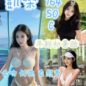 台中定點茶-凱樂/164/50/?/C