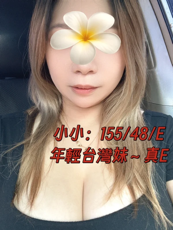 台中定點茶-小小/155/48/?/E