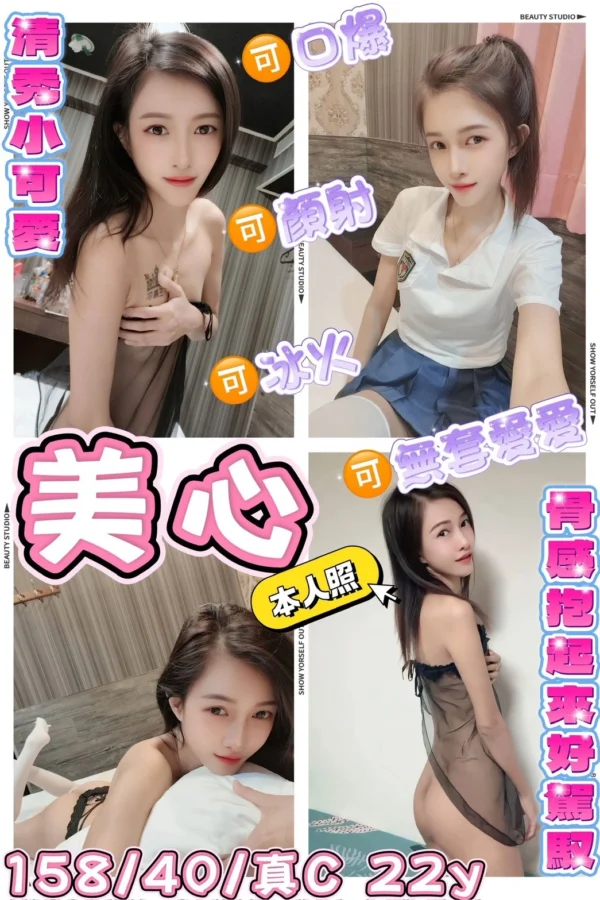 新北定點茶-美心/158/40/22/C