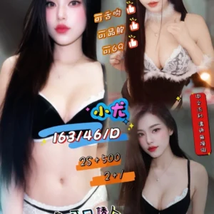 新北定點茶-小尤/163/46/26/D
