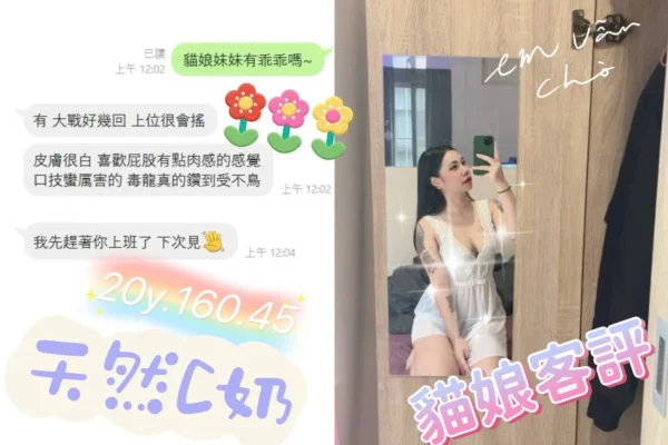 桃園定點茶-喵娘/160/45/20/C