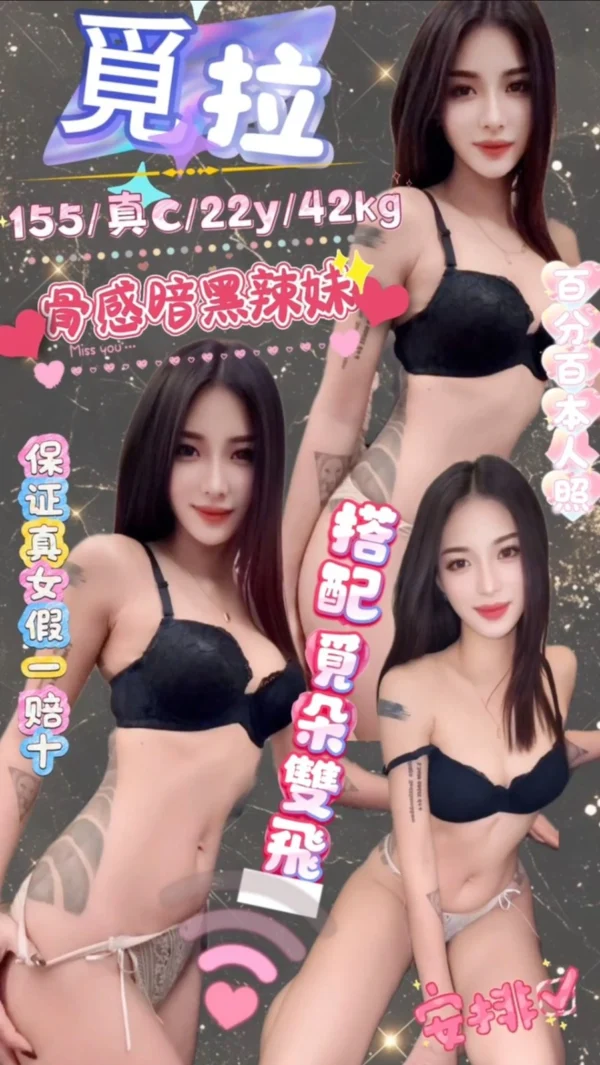 台北定點茶-覓拉/155/42/22/C