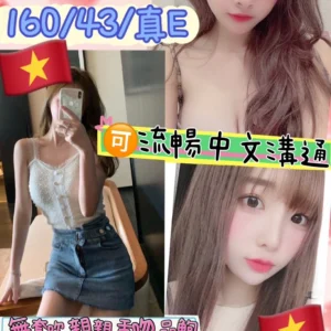 台北定點茶-金多美/160/43/?/E