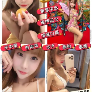 台東定點茶-女王/165/46/22/E