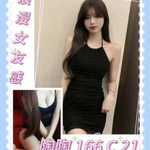 台北外送茶-陶陶/166/47/21/C