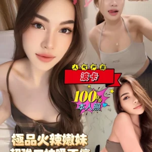 台南定點茶-波卡/165/50/20/D