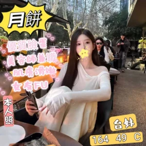 台北定點茶-月餅/164/49/23/C