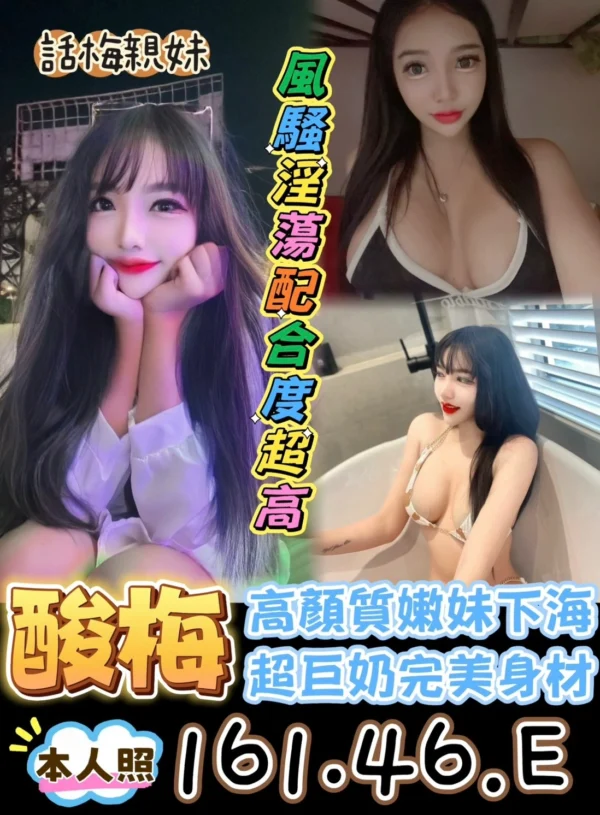 台南定點茶-酸梅/161/46/?/E