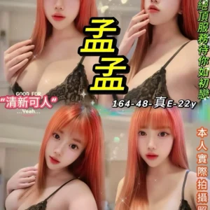 台北定點茶-孟孟/164/48/22/E