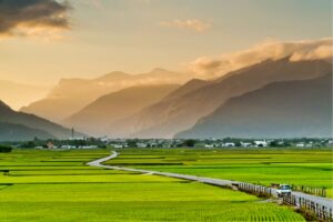 🏨 2025 最新台東汽車旅館推薦 TOP5｜高隱私豪華房型＋台東外送茶定點茶享受全攻略