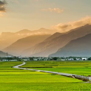 🏨 2025 最新台東汽車旅館推薦 TOP5｜高隱私豪華房型＋台東外送茶定點茶享受全攻略