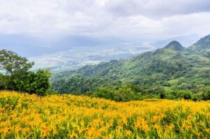 🏨 2025最新彰化市汽車旅館推薦TOP5｜高隱私豪華房型＋彰化外送茶定點茶享受全攻略