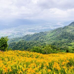 🏨 2025最新彰化市汽車旅館推薦TOP5｜高隱私豪華房型＋彰化外送茶定點茶享受全攻略