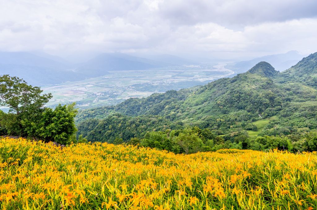 🏨 2025最新彰化市汽車旅館推薦TOP5｜高隱私豪華房型＋彰化外送茶定點茶享受全攻略