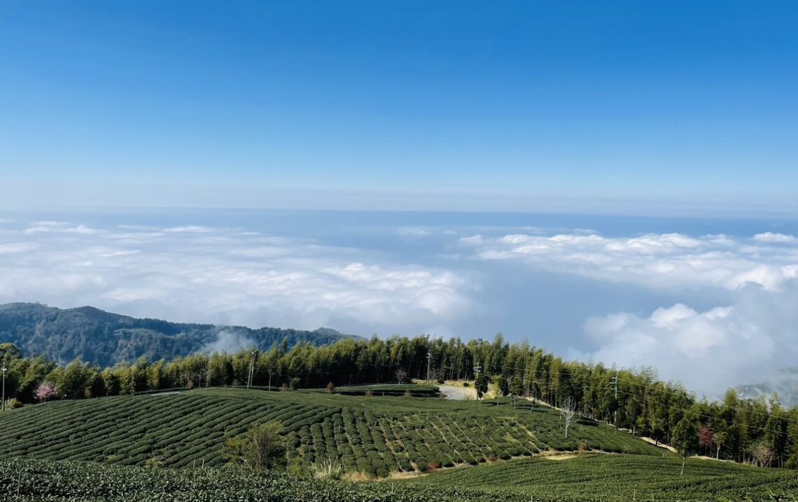 🏨 2025最新雲林汽車旅館推薦TOP5｜高隱私豪華房型＋雲林外送茶定點茶享受全攻略