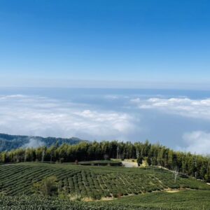 🏨 2025最新雲林汽車旅館推薦TOP5｜高隱私豪華房型＋雲林外送茶定點茶享受全攻略