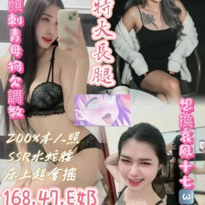 桃園定點茶-繽紛樂/168/47/23/E