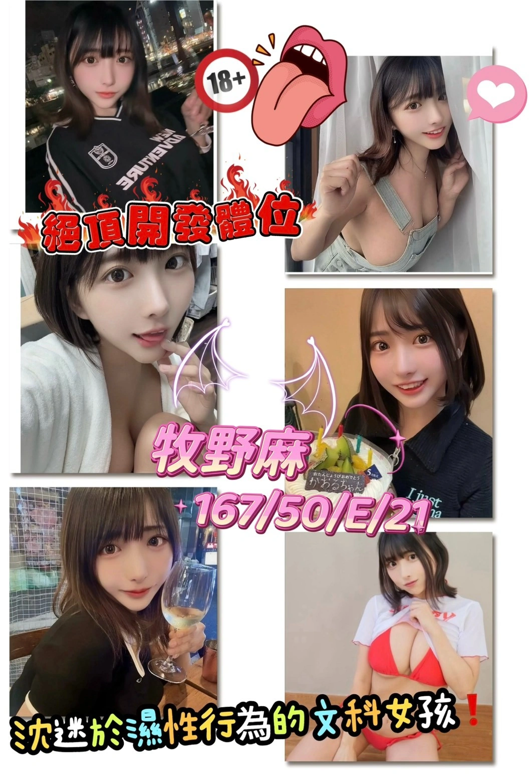 桃園定點茶-牧野麻/167/50/21/D