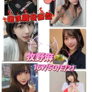 桃園外送茶-牧野麻/167/50/21/D